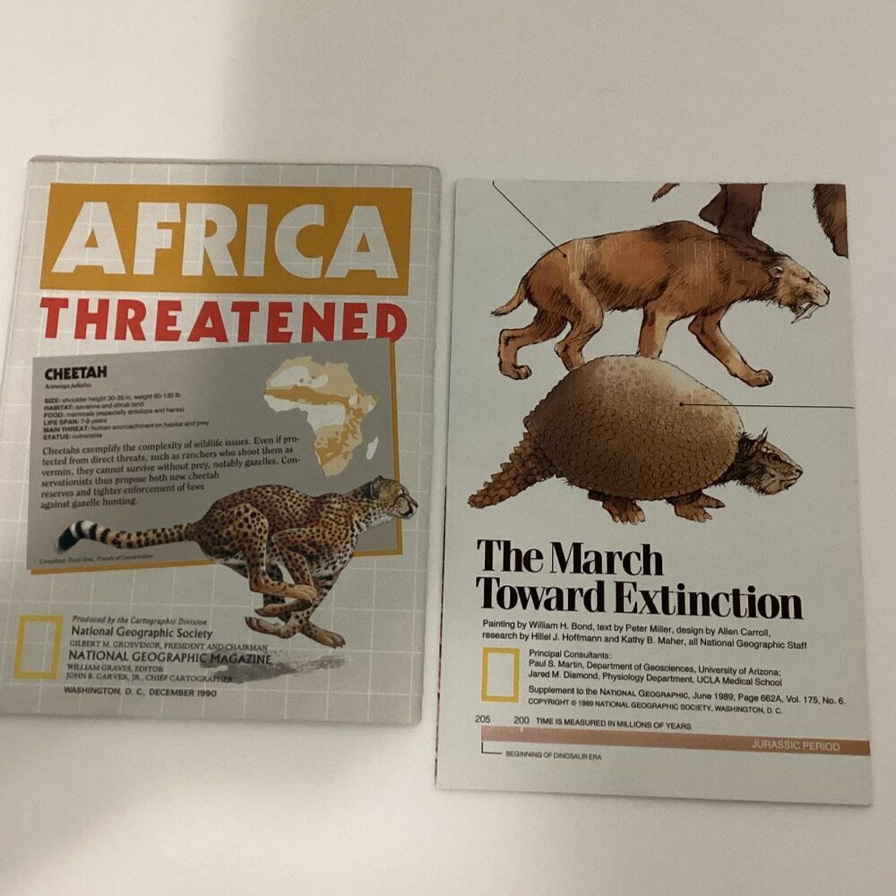 National Geographic Society Books Pamphlets Africa Cheetah Animals Extinction
